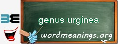 WordMeaning blackboard for genus urginea